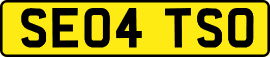 SE04TSO