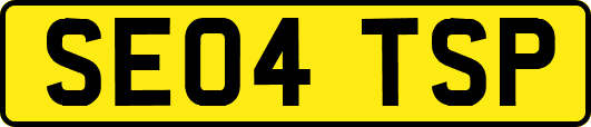 SE04TSP