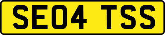 SE04TSS