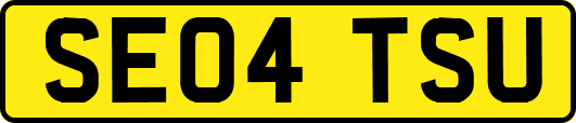 SE04TSU