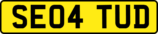 SE04TUD