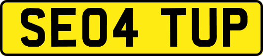 SE04TUP