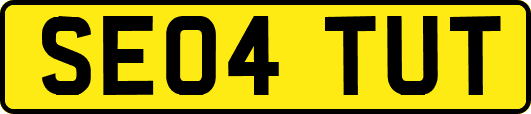 SE04TUT
