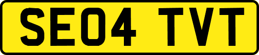 SE04TVT