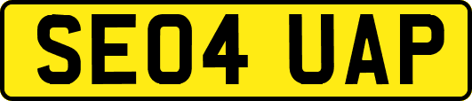 SE04UAP