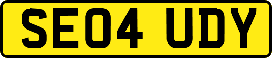 SE04UDY