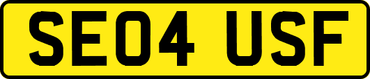 SE04USF