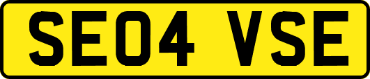 SE04VSE
