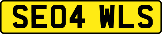 SE04WLS