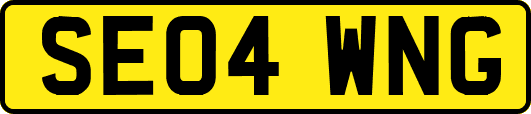 SE04WNG