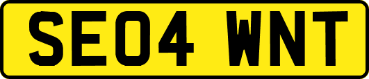 SE04WNT