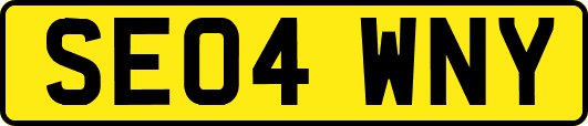 SE04WNY