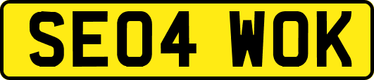 SE04WOK