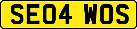 SE04WOS