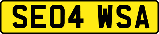 SE04WSA
