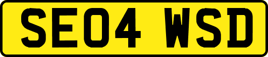 SE04WSD