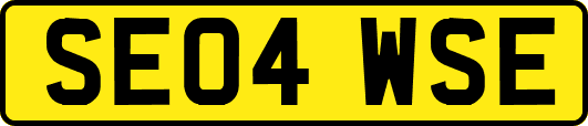 SE04WSE