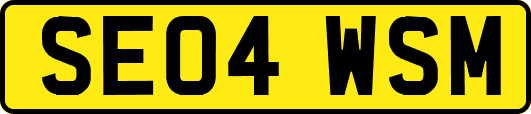 SE04WSM