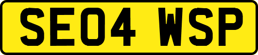 SE04WSP