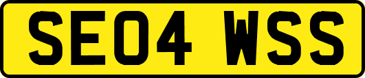 SE04WSS