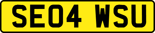 SE04WSU