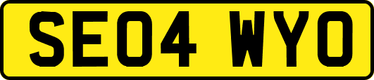 SE04WYO
