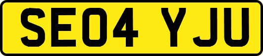 SE04YJU