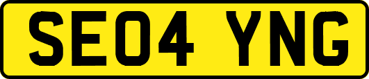 SE04YNG