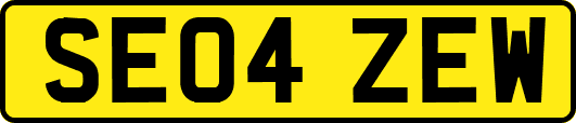 SE04ZEW