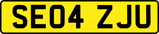 SE04ZJU