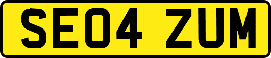 SE04ZUM