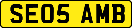 SE05AMB