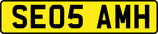 SE05AMH