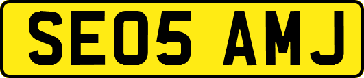 SE05AMJ