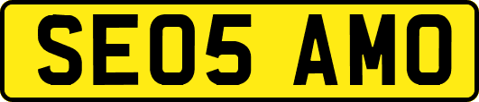 SE05AMO