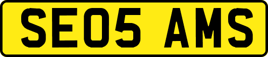 SE05AMS