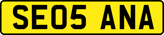 SE05ANA