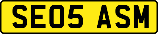 SE05ASM