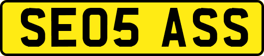 SE05ASS