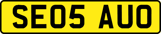 SE05AUO