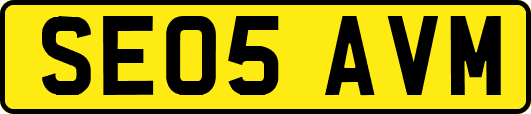 SE05AVM