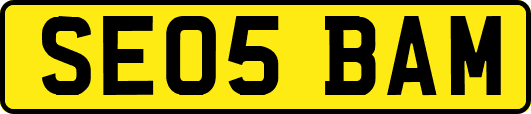 SE05BAM