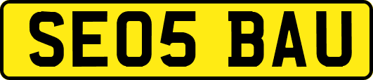SE05BAU