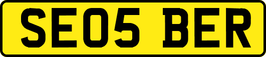 SE05BER