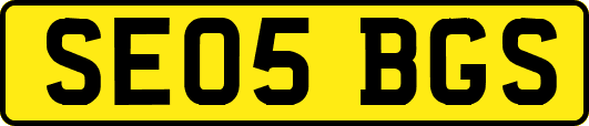 SE05BGS