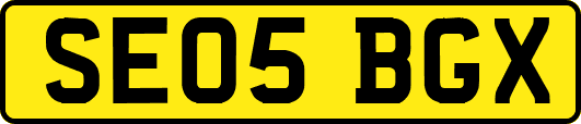 SE05BGX
