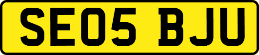 SE05BJU