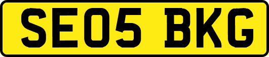 SE05BKG