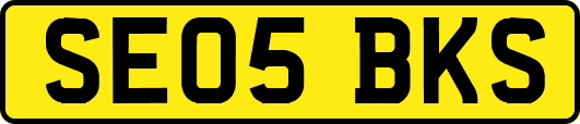 SE05BKS