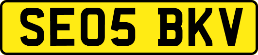 SE05BKV